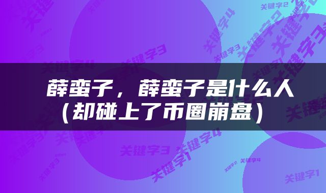  薛蛮子，薛蛮子是什么人（却碰上了币圈崩盘） 