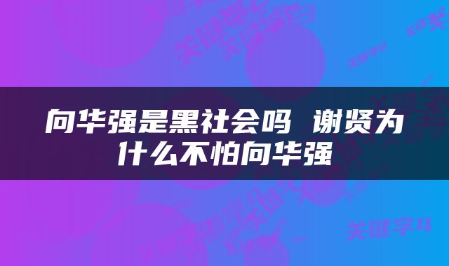 向华强是黑社会吗 谢贤为什么不怕向华强