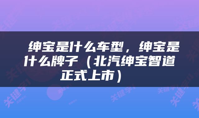  绅宝是什么车型，绅宝是什么牌子（北汽绅宝智道正式上市） 