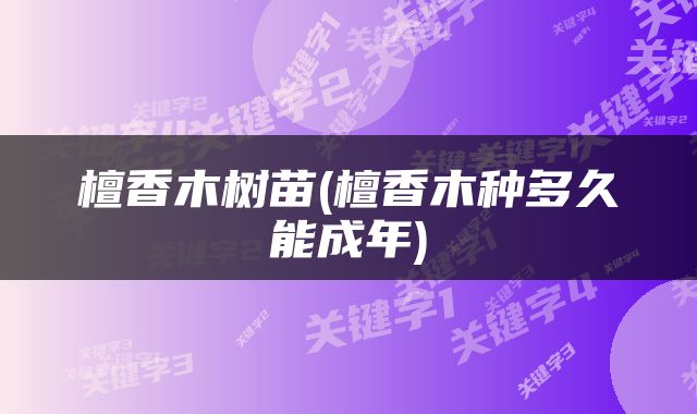 檀香木树苗(檀香木种多久能成年)