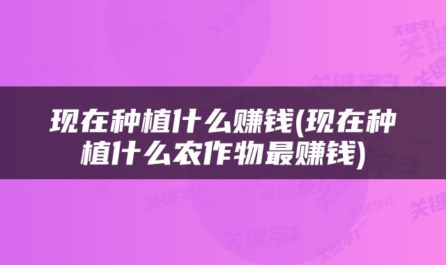 现在种植什么赚钱(现在种植什么农作物最赚钱)