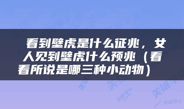  看到壁虎是什么征兆，女人见到壁虎什么预兆（看看所说是哪三种小动物） 