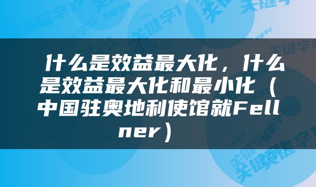 什么是效益最大化，什么是效益最大化和最小化（中国驻奥地利使馆就Fellner） 
