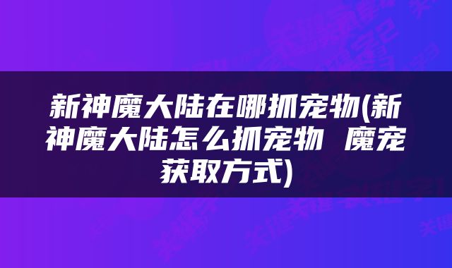 新神魔大陆在哪抓宠物(新神魔大陆怎么抓宠物 魔宠获取方式)