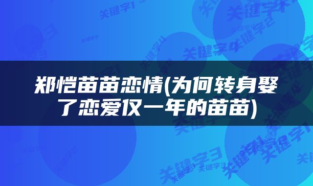 郑恺苗苗恋情(为何转身娶了恋爱仅一年的苗苗)