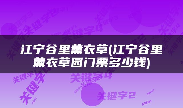 江宁谷里薰衣草(江宁谷里薰衣草园门票多少钱)