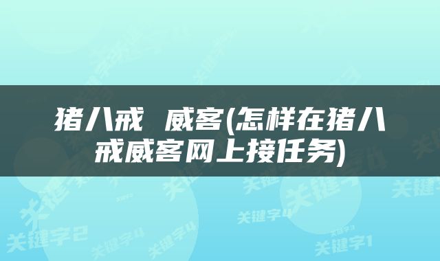 猪八戒 威客(怎样在猪八戒威客网上接任务)