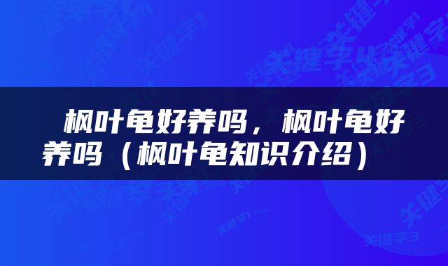  枫叶龟好养吗，枫叶龟好养吗（枫叶龟知识介绍） 