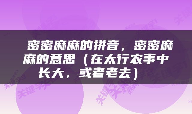  密密麻麻的拼音，密密麻麻的意思（在太行农事中长大，或者老去） 