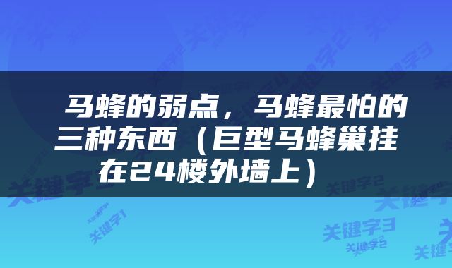  马蜂的弱点，马蜂最怕的三种东西（巨型马蜂巢挂在24楼外墙上） 