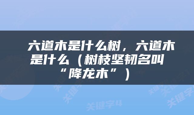  六道木是什么树，六道木是什么（树枝坚韧名叫“降龙木”） 
