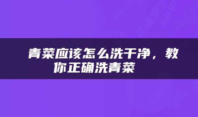  青菜应该怎么洗干净，教你正确洗青菜 