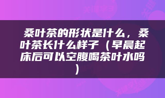  桑叶茶的形状是什么，桑叶茶长什么样子（早晨起床后可以空腹喝茶叶水吗） 