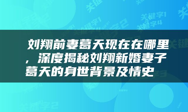  刘翔前妻葛天现在在哪里，深度揭秘刘翔新婚妻子葛天的身世背景及情史 