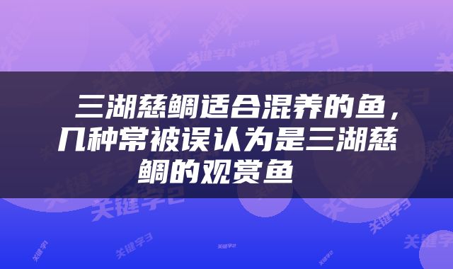  三湖慈鲷适合混养的鱼，几种常被误认为是三湖慈鲷的观赏鱼 