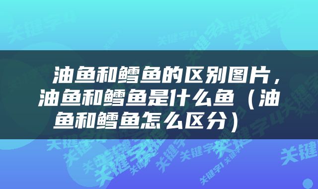  油鱼和鳕鱼的区别图片，油鱼和鳕鱼是什么鱼（油鱼和鳕鱼怎么区分） 