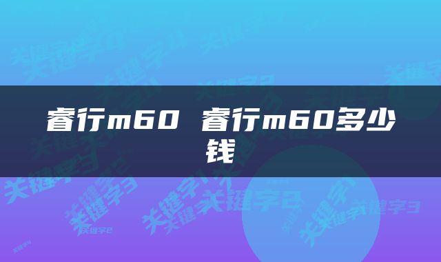睿行m60 睿行m60多少钱