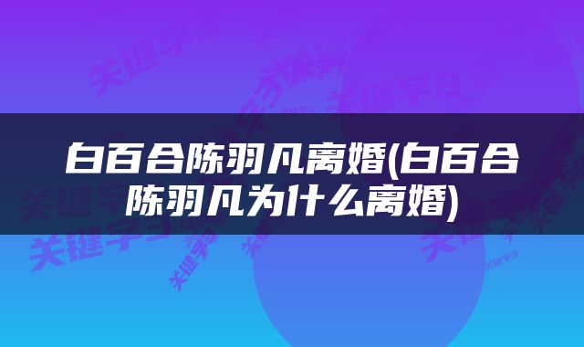 白百合陈羽凡离婚(白百合陈羽凡为什么离婚)