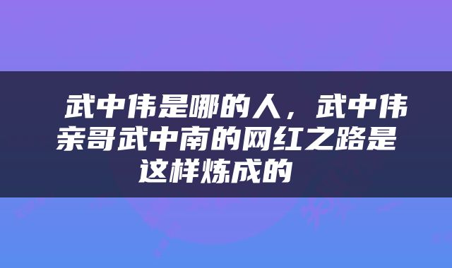  武中伟是哪的人，武中伟亲哥武中南的网红之路是这样炼成的 