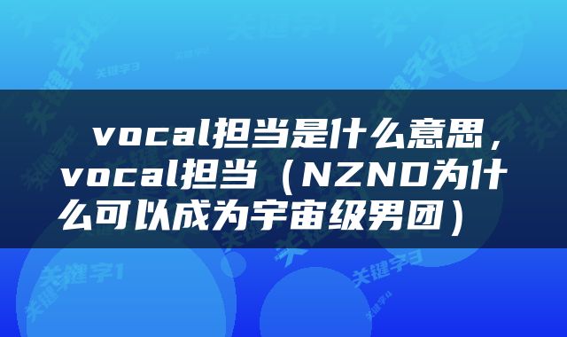  vocal担当是什么意思，vocal担当（NZND为什么可以成为宇宙级男团） 