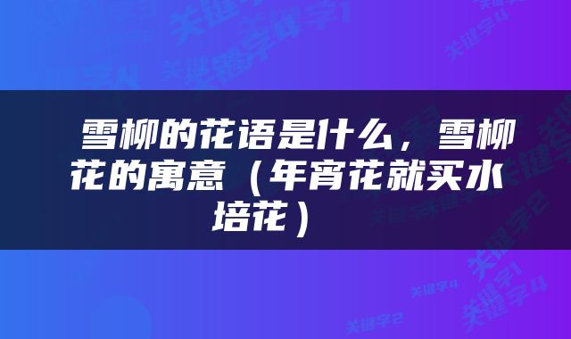  雪柳的花语是什么，雪柳花的寓意（年宵花就买水培花） 