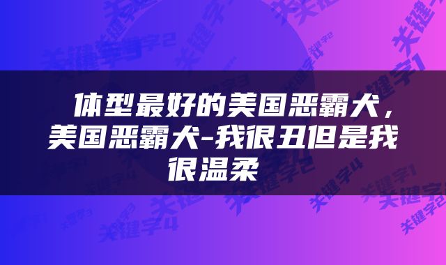  体型最好的美国恶霸犬，美国恶霸犬-我很丑但是我很温柔 