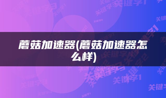 蘑菇加速器(蘑菇加速器怎么样)