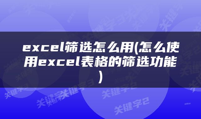 excel筛选怎么用(怎么使用excel表格的筛选功能)