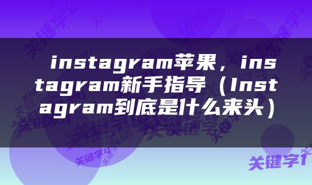  instagram苹果，instagram新手指导（Instagram到底是什么来头） 
