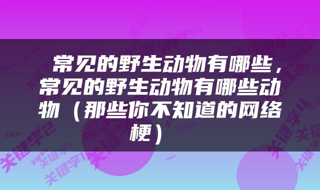  常见的野生动物有哪些，常见的野生动物有哪些动物（那些你不知道的网络梗） 