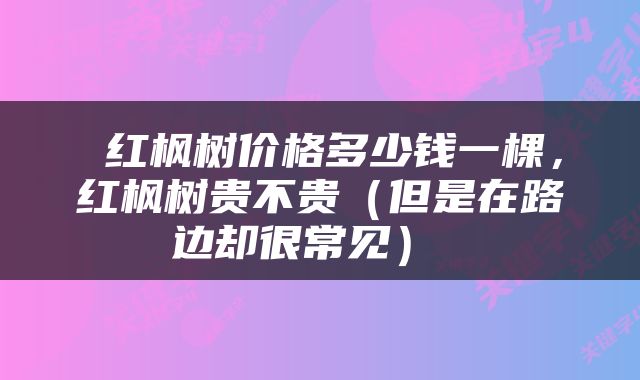  红枫树价格多少钱一棵，红枫树贵不贵（但是在路边却很常见） 