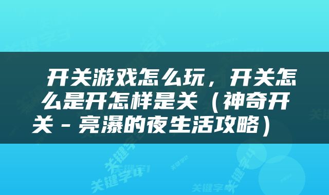  开关游戏怎么玩，开关怎么是开怎样是关（神奇开关－亮瀑的夜生活攻略） 