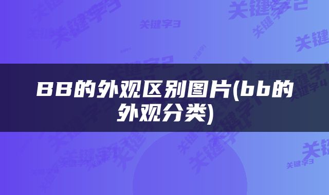 BB的外观区别图片(bb的外观分类)
