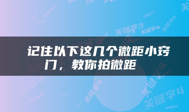  记住以下这几个微距小窍门，教你拍微距 