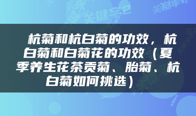  杭菊和杭白菊的功效，杭白菊和白菊花的功效（夏季养生花茶贡菊、胎菊、杭白菊如何挑选） 