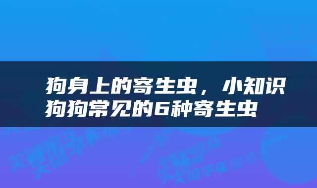  狗身上的寄生虫，小知识狗狗常见的6种寄生虫 