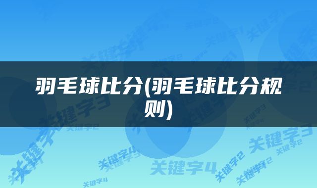 羽毛球比分(羽毛球比分规则)