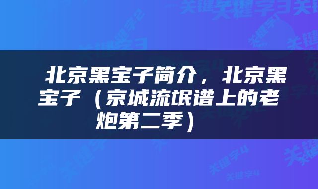  北京黑宝子简介，北京黑宝子（京城流氓谱上的老炮第二季） 