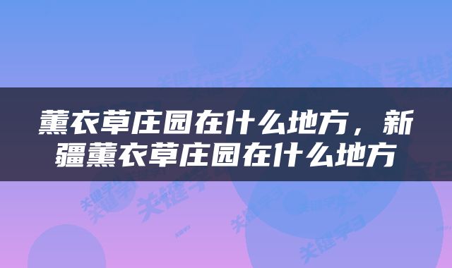 薰衣草庄园在什么地方，新疆薰衣草庄园在什么地方