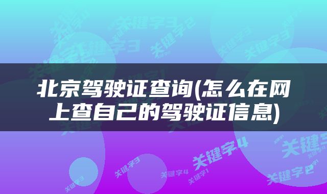 北京驾驶证查询(怎么在网上查自己的驾驶证信息)