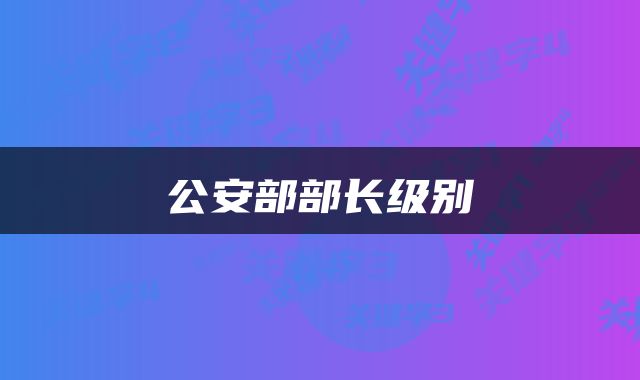 公安部部长级别