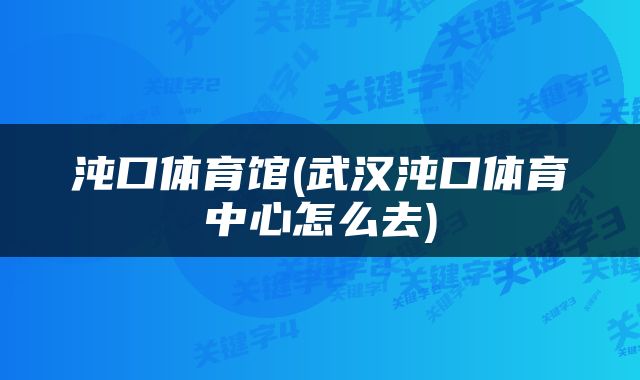 沌口体育馆(武汉沌口体育中心怎么去)