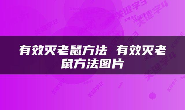 有效灭老鼠方法 有效灭老鼠方法图片