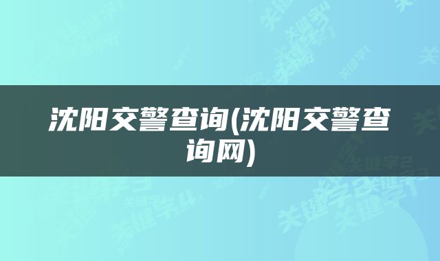 沈阳交警查询(沈阳交警查询网)