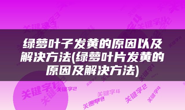 绿萝叶子发黄的原因以及解决方法(绿萝叶片发黄的原因及解决方法)