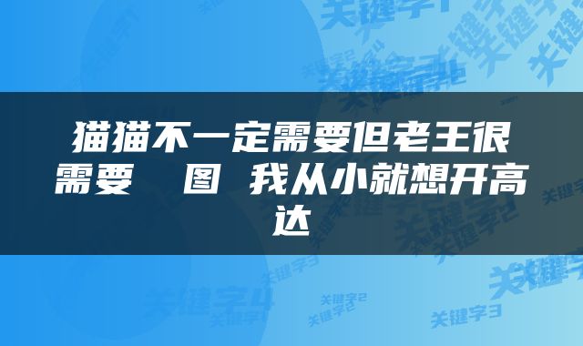 猫猫不一定需要但老王很需要 囧图 我从小就想开高达