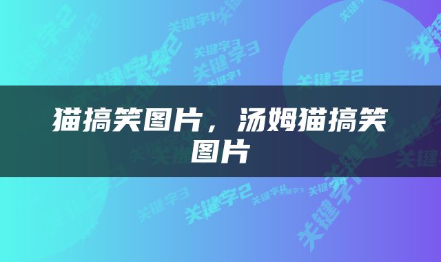 猫搞笑图片，汤姆猫搞笑图片