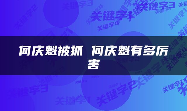 何庆魁被抓 何庆魁有多厉害