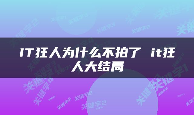 IT狂人为什么不拍了 it狂人大结局