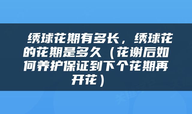  绣球花期有多长，绣球花的花期是多久（花谢后如何养护保证到下个花期再开花） 